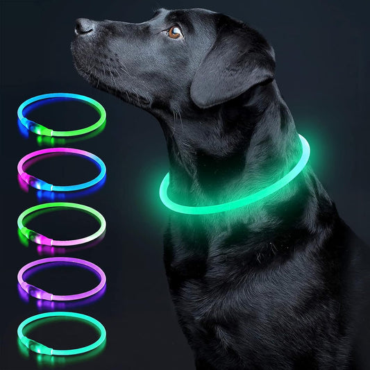 USB Rechargeable LED Dog Collar Light for Safety - Cyan Color