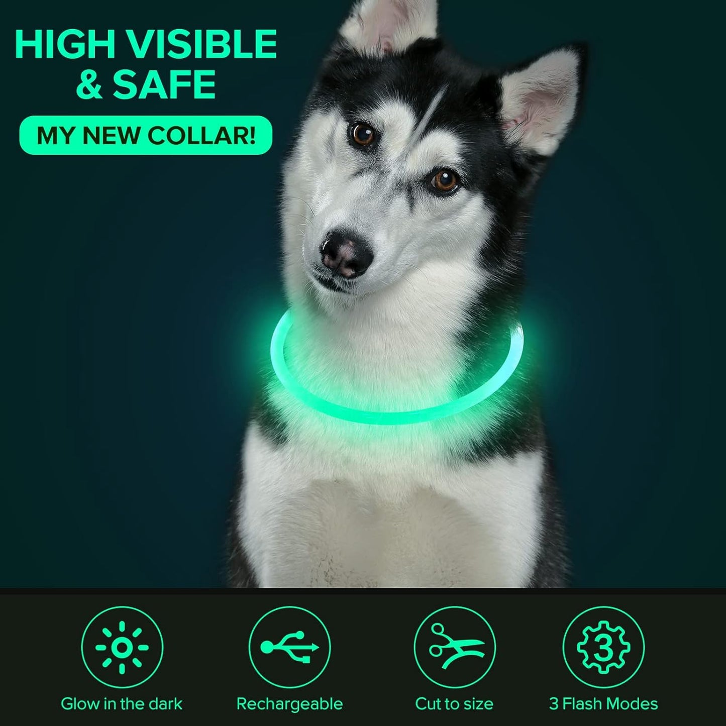 USB Rechargeable LED Dog Collar Light for Safety - Cyan Color