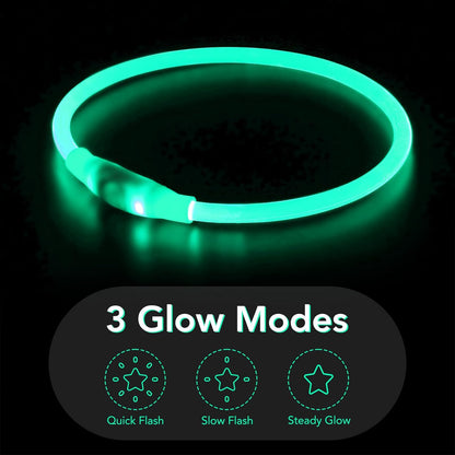 USB Rechargeable LED Dog Collar Light for Safety - Cyan Color