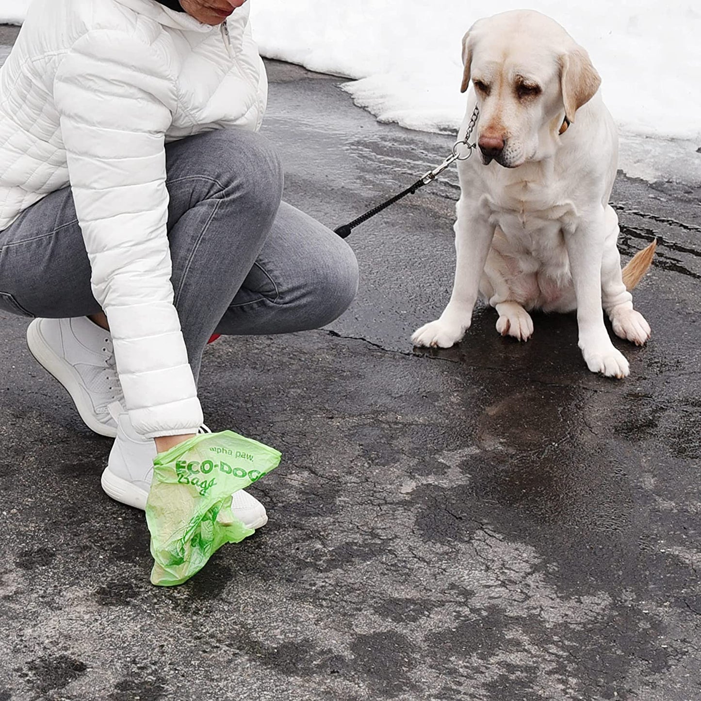 Eco-Doggy Bags & Portable Dispenser - 60 Odor-Blocking, Biodegradable Poop Bags for Dogs - Scented Dog Poop Bags - Lavender-Scented Poop Bags - Compostable Dog Waste Bags - Puppy Accessories