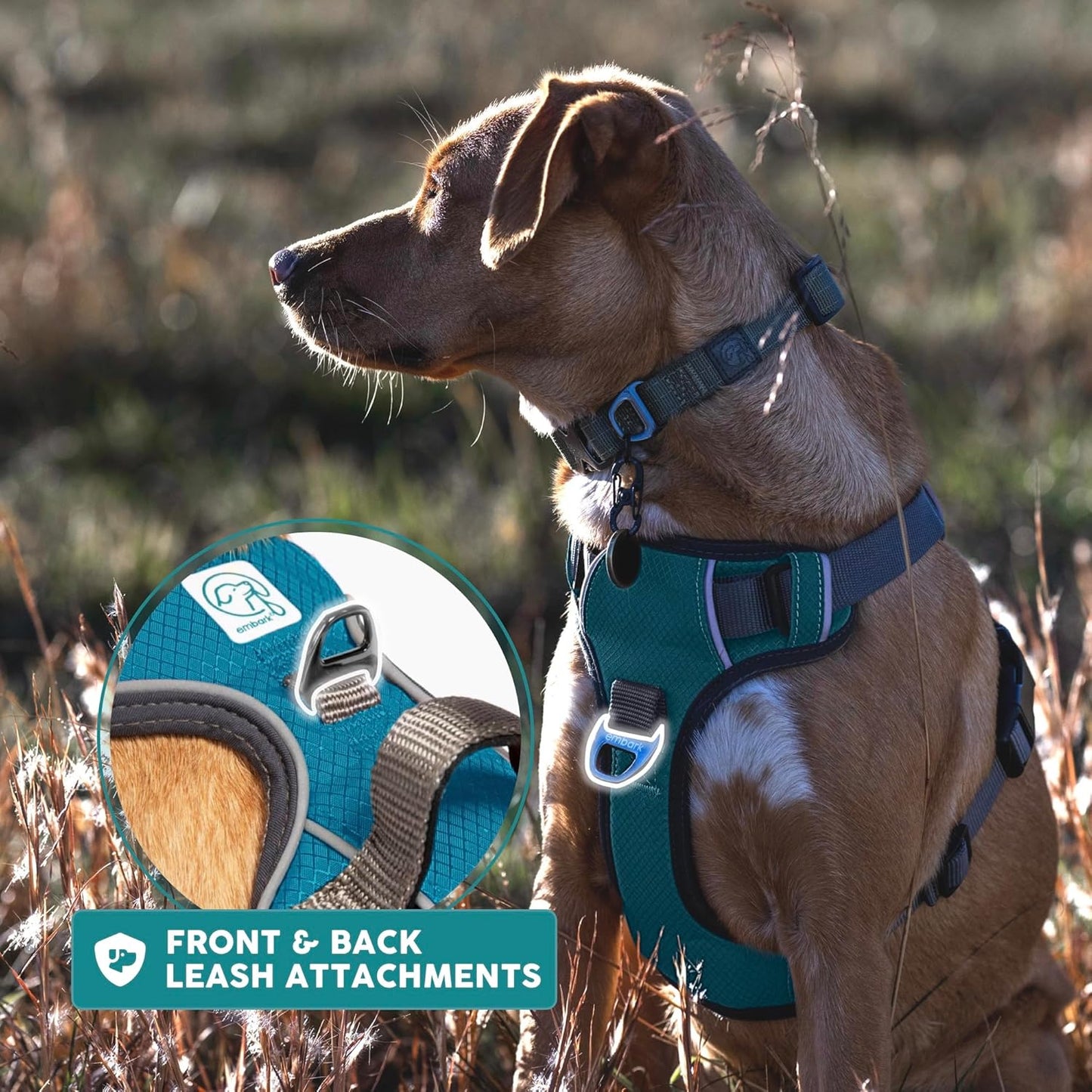 Embark Adventure Dog Harness, Easy on and off with Front and Back Leash Attachments & Control Handle - No Pull Training, Size Adjustable and Non Choke