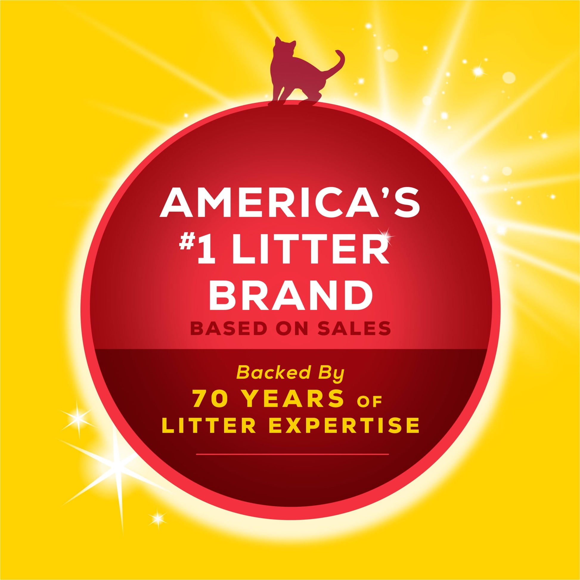 Purina  Lightweight, Low Dust, Clumping Cat Litter Odor Control 24/7 Performance Multi Cat Litter